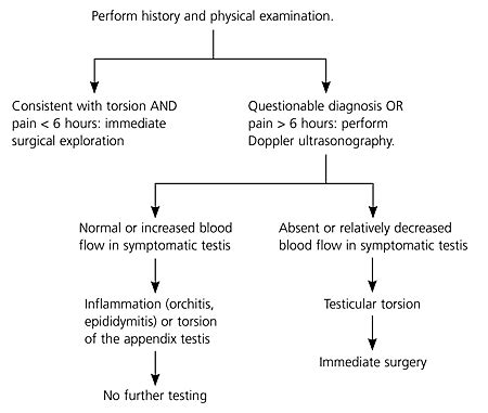 cremasteric reflex test testicular torsion|testicular torsion prognosis.